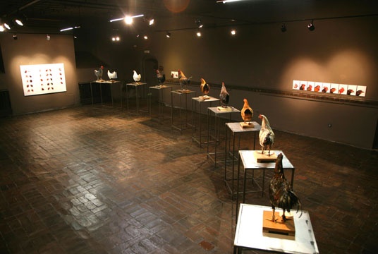 Koen Vanmechelen